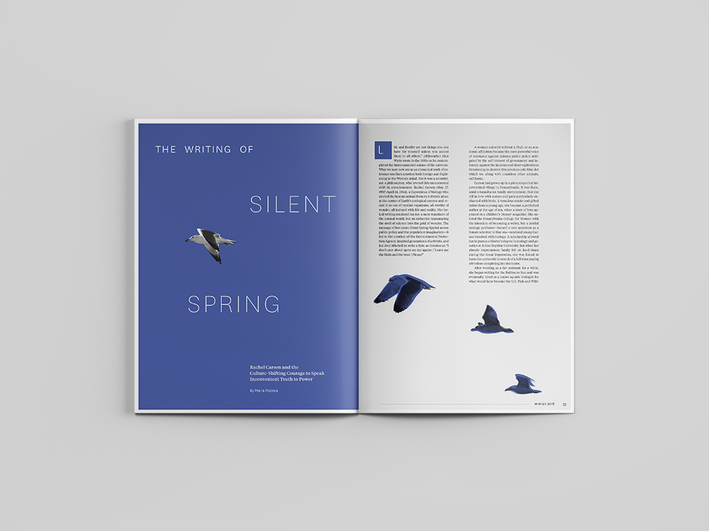 Seed Magazine pages